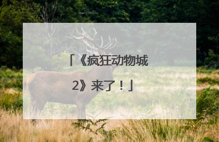 《疯狂动物城2》来了！