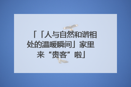 「人与自然和谐相处的温暖瞬间」家里来“贵客”啦