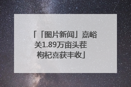 「图片新闻」嘉峪关1.89万亩头茬枸杞喜获丰收