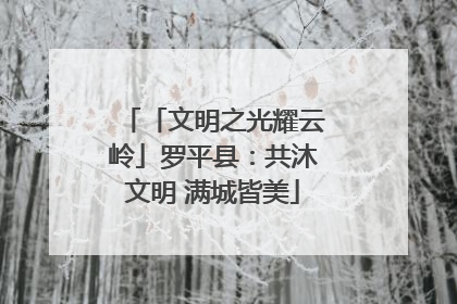 「文明之光耀云岭」罗平县：共沐文明 满城皆美