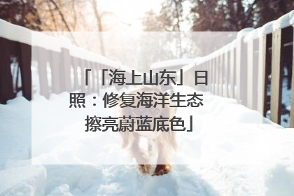 「海上山东」日照：修复海洋生态 擦亮蔚蓝底色