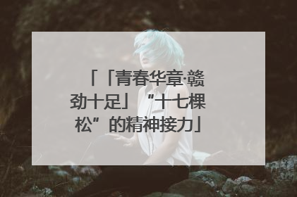 「青春华章·赣劲十足」“十七棵松”的精神接力