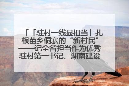 「驻村一线显担当」扎根苗乡侗寨的“新村民”——记全省担当作为优秀驻村第一书记、湖南建设投资集团李磊