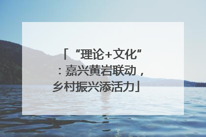 “理论+文化”：嘉兴黄岩联动，乡村振兴添活力