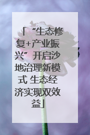 “生态修复+产业振兴”开启沙地治理新模式 生态经济实现双效益