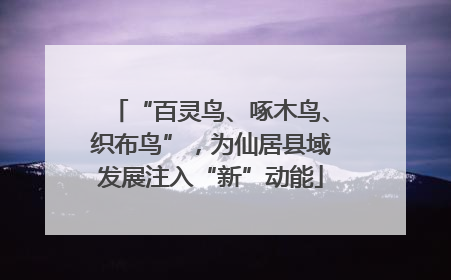 “百灵鸟、啄木鸟、织布鸟”，为仙居县域发展注入“新”动能