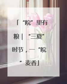 “皖”里有粮｜“三夏”时节，一“皖”麦香