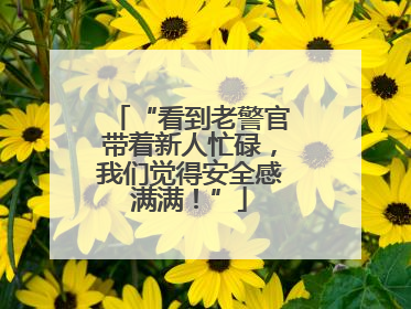 “看到老警官带着新人忙碌，我们觉得安全感满满！”