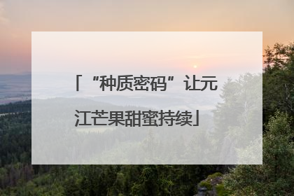 “种质密码”让元江芒果甜蜜持续