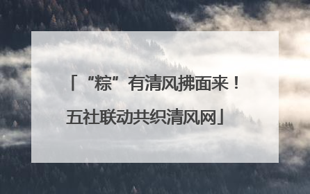 “粽”有清风拂面来！五社联动共织清风网
