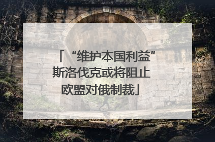“维护本国利益” 斯洛伐克或将阻止欧盟对俄制裁