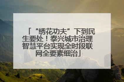 “绣花功夫”下到民生要处！泰兴城市治理智慧平台实现全时段联网全要素细治