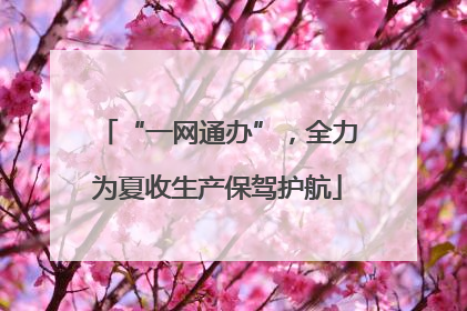 “一网通办”，全力为夏收生产保驾护航