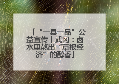 “一县一品”公益宣传丨武冈：卤水里熬出“草根经济”的醇香