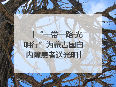 “一带一路·光明行”为蒙古国白内障患者送光明