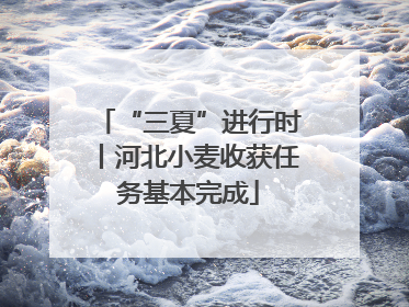 “三夏”进行时丨河北小麦收获任务基本完成