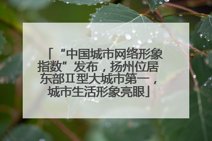 “中国城市网络形象指数”发布，扬州位居东部Ⅱ型大城市第一，城市生活形象亮眼