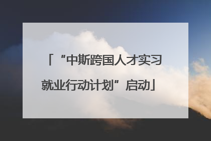 “中斯跨国人才实习就业行动计划”启动