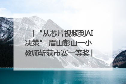 “从芯片视频到AI决策” 眉山彭山一小教师斩获市赛一等奖