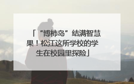 “博柿岛”结满智慧果！松江这所学校的学生在校园里探险