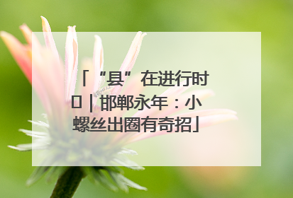 “县”在进行时⑬｜邯郸永年：小螺丝出圈有奇招