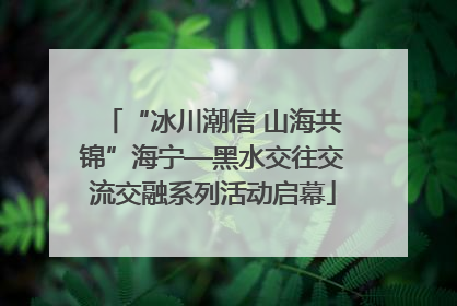 “冰川潮信 山海共锦”海宁—黑水交往交流交融系列活动启幕