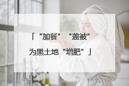 “加餐”“盖被” 为黑土地“增肥”