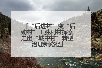 “后进村”变“后劲村”！胜利村探索走出“城中村”转型治理新路径