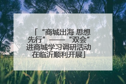“商城出海 思想先行”——“双会”进商城学习调研活动在临沂顺利开展