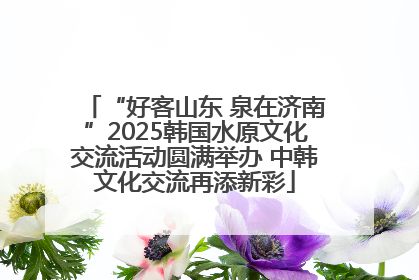“好客山东 泉在济南”2025韩国水原文化交流活动圆满举办 中韩文化交流再添新彩