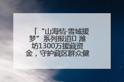 “山海情·雪域援梦”系列报道⑪ 潍坊1300万援藏资金，守护藏区群众健康“最后一公里”