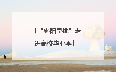 “枣阳皇桃”走进高校毕业季
