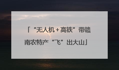 “无人机＋高铁”带赣南农特产“飞”出大山