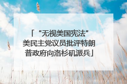 “无视美国宪法” 美民主党议员批评特朗普政府向洛杉矶派兵