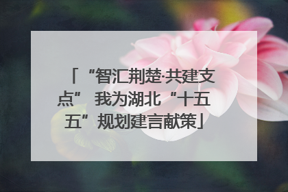 “智汇荆楚·共建支点” 我为湖北“十五五”规划建言献策