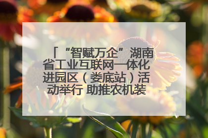 “智赋万企”湖南省工业互联网一体化进园区（娄底站）活动举行 助推农机装备产业高质量发展