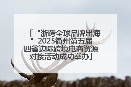 “浙跨全球品牌出海”2025衢州第五届四省边际跨境电商资源对接活动成功举办