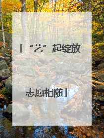 “艺”起绽放 志愿相随