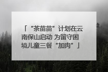 “茶苗苗”计划在云南保山启动 为留守困境儿童三餐“加肉”
