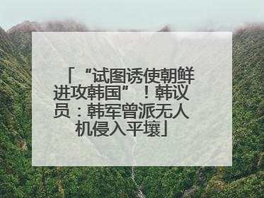 “试图诱使朝鲜进攻韩国”！韩议员：韩军曾派无人机侵入平壤