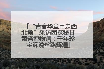 “青春华章重走西北角”采访团探秘甘肃省博物馆：千年珍宝诉说丝路辉煌