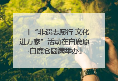 “非遗志愿行 文化进万家”活动在白鹿原·白鹿仓圆满举办