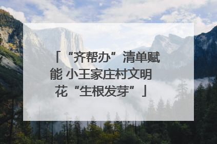 “齐帮办”清单赋能 小王家庄村文明花“生根发芽”