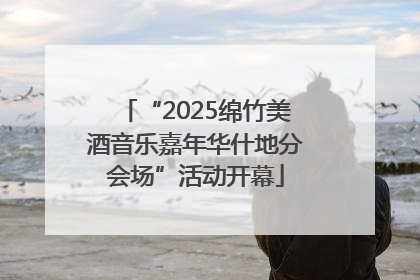 “2025绵竹美酒音乐嘉年华什地分会场”活动开幕