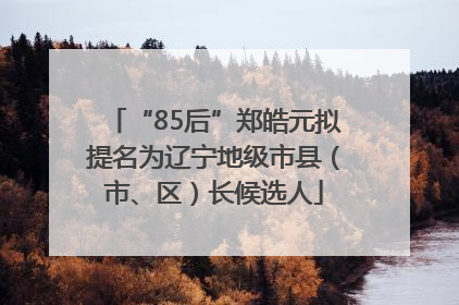 “85后”郑皓元拟提名为辽宁地级市县（市、区）长候选人