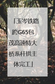 玉岑铁路跨G65包茂高速特大桥系杆拱主体完工