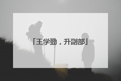 王学勤，升副部