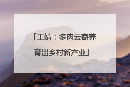 王婧：多肉云寄养 育出乡村新产业