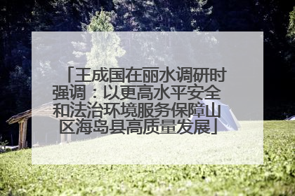 王成国在丽水调研时强调：以更高水平安全和法治环境服务保障山区海岛县高质量发展