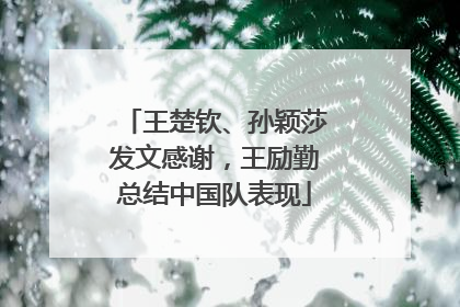 王楚钦、孙颖莎发文感谢，王励勤总结中国队表现